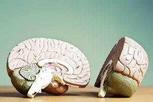 brain-treatment-8459678_640