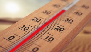 thermometer-4294021_640