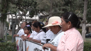 240-7-CIENCIA_Víctimas esterilización forzada_Captura de pantalla _ AFP