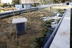 Desarrollan una tecnología eficaz y barata para que pequeñas poblaciones limpien sus aguas