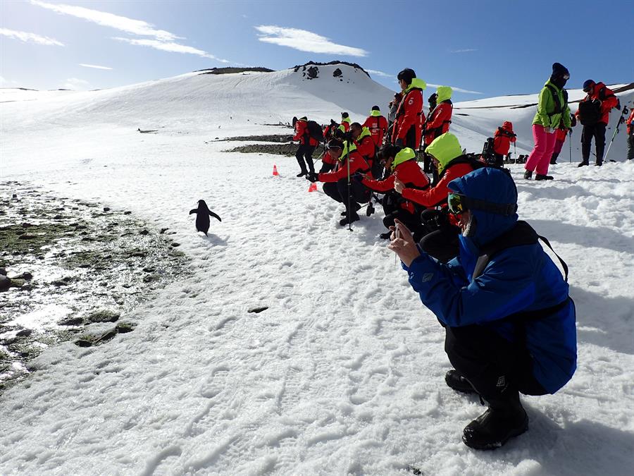 Crece la preocupación por el aumento del turismo en la Antártida