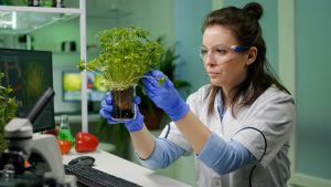 740-4-TECNO_Plantas laboratorio_