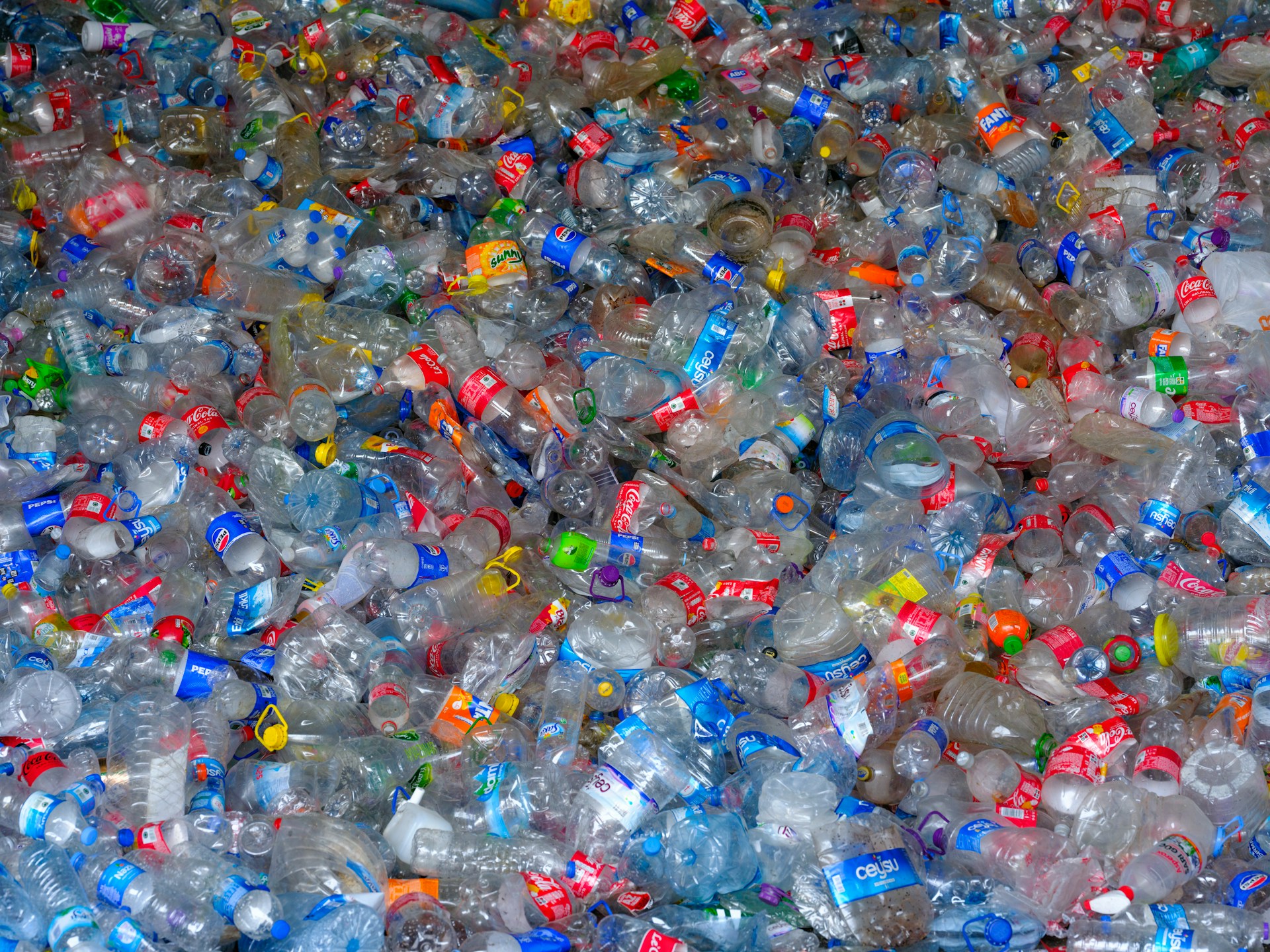 Argentina crea postes para viñedos hechos de plástico reciclado
