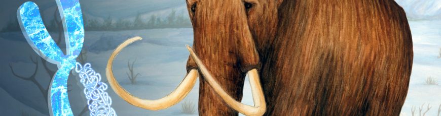 Obtener información genómica de un mamut como si estuviera “vivo” ¿para qué?