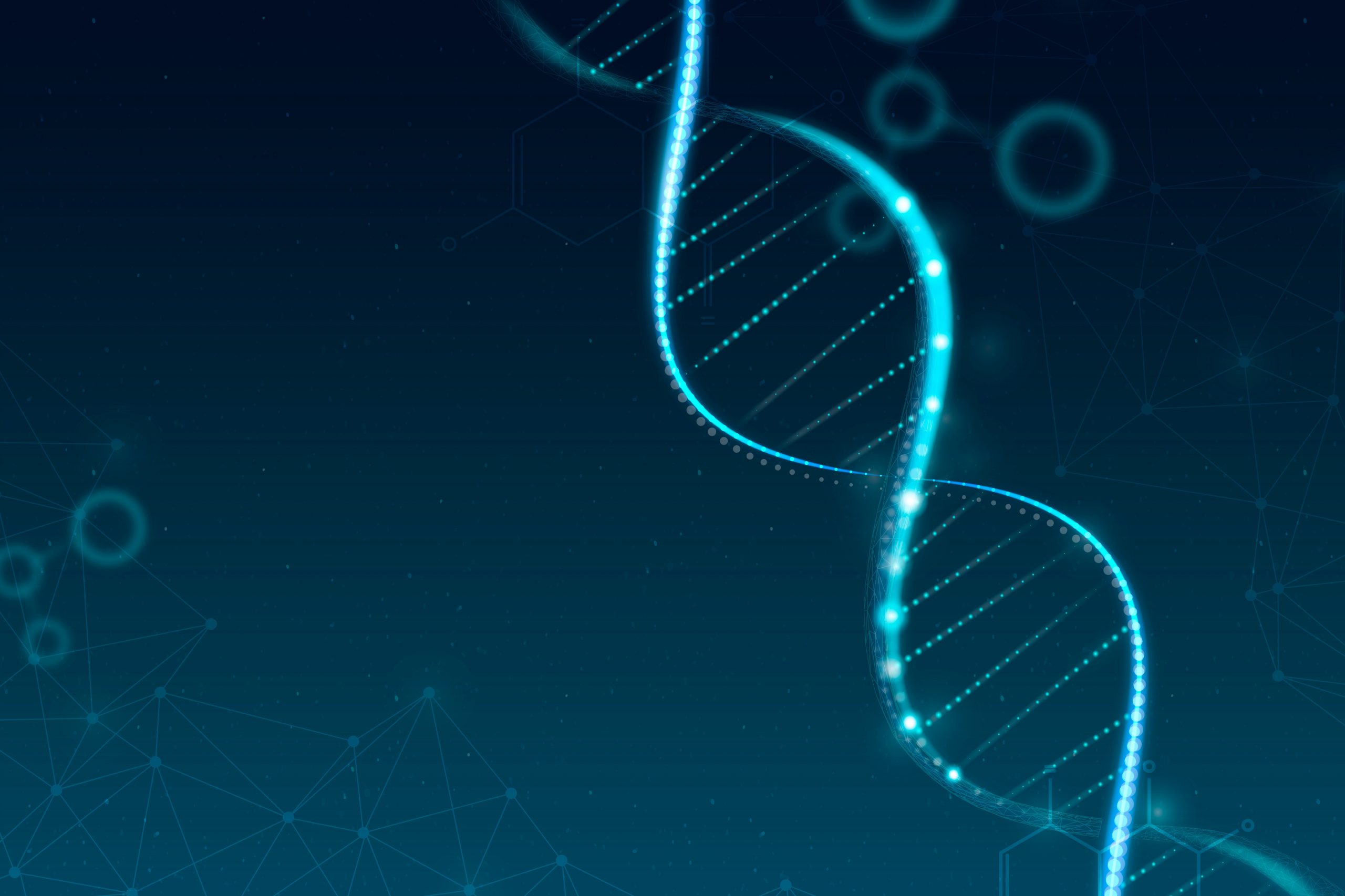 Descubren factor que disparó estatura y metabolismo humano