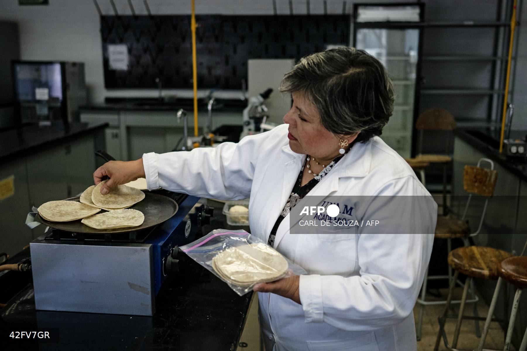 Desarrollan en México una tortilla contra la desnutrición