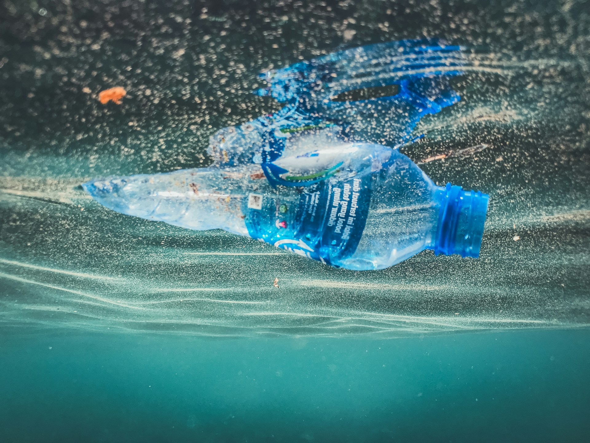 Clean Up: un proyecto para limpiar el Océano Pacífico