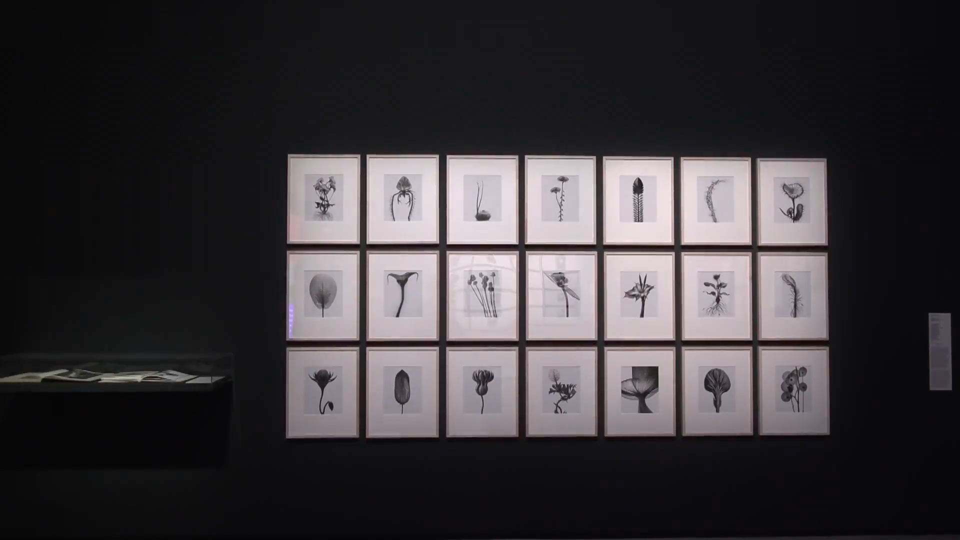 París exhibe arte creado por Inteligencia Artificial