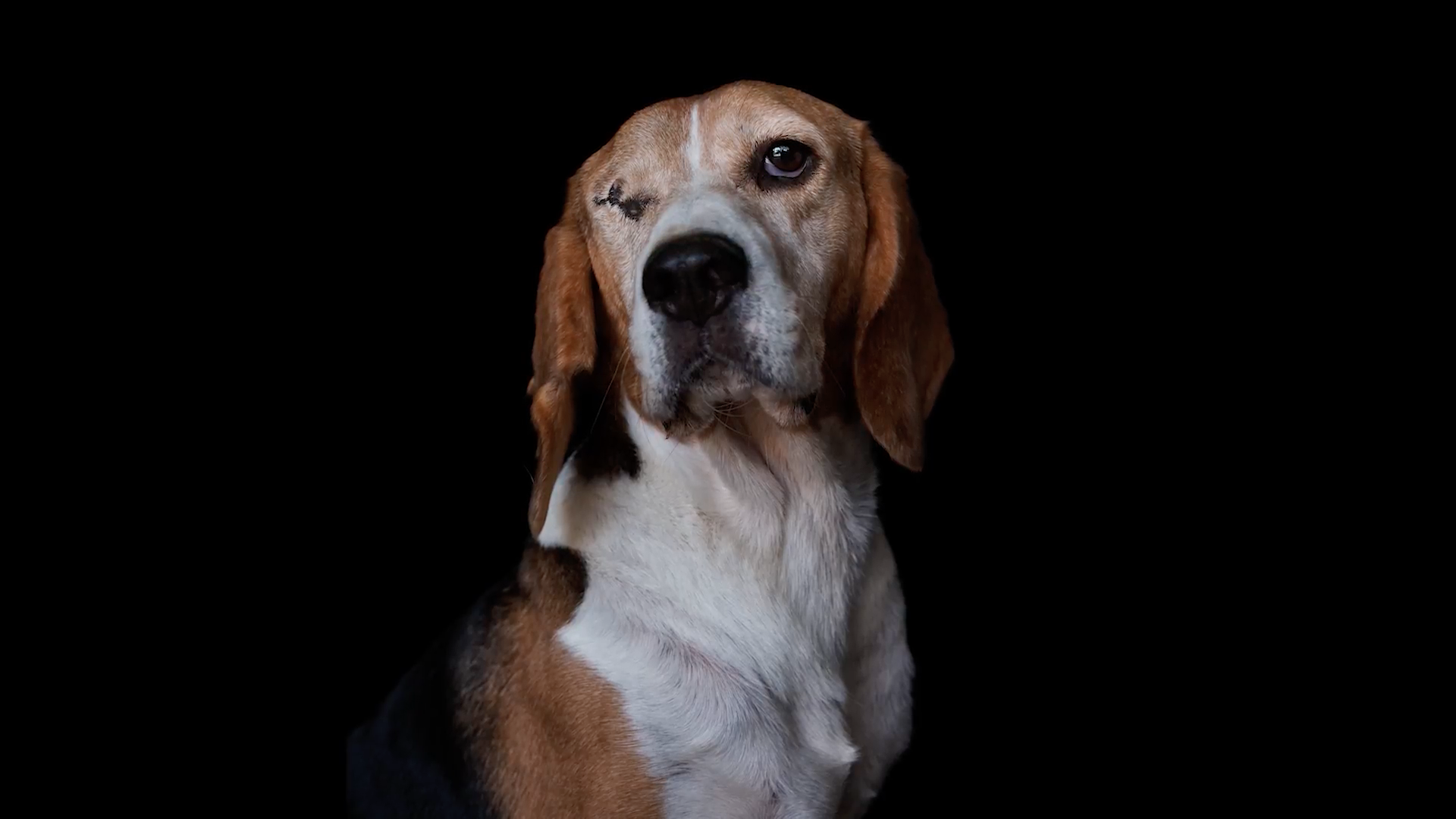 Estela de Castro usa la fotografía como activismo