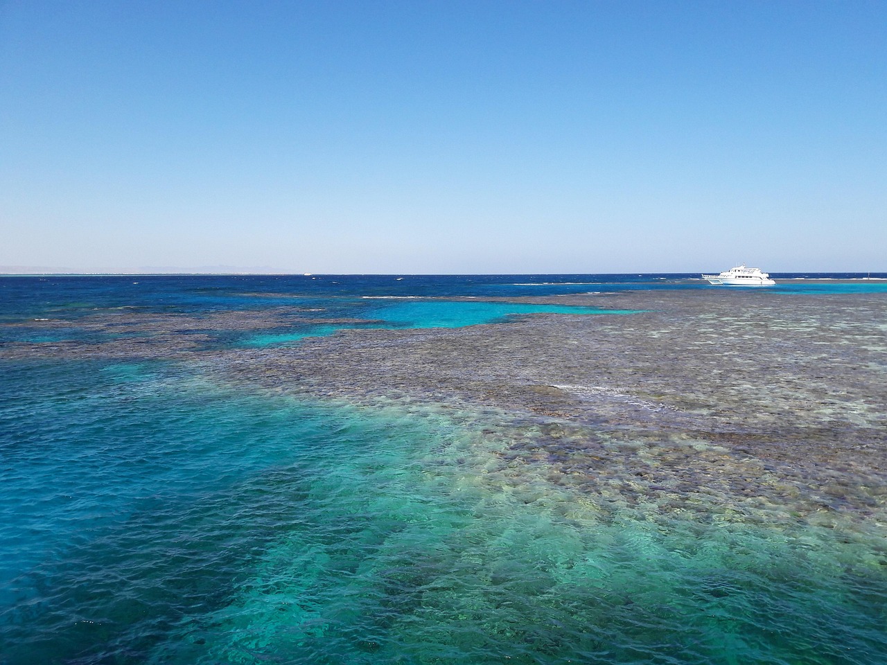Olas de calor marinas causan impactos en América Latina
