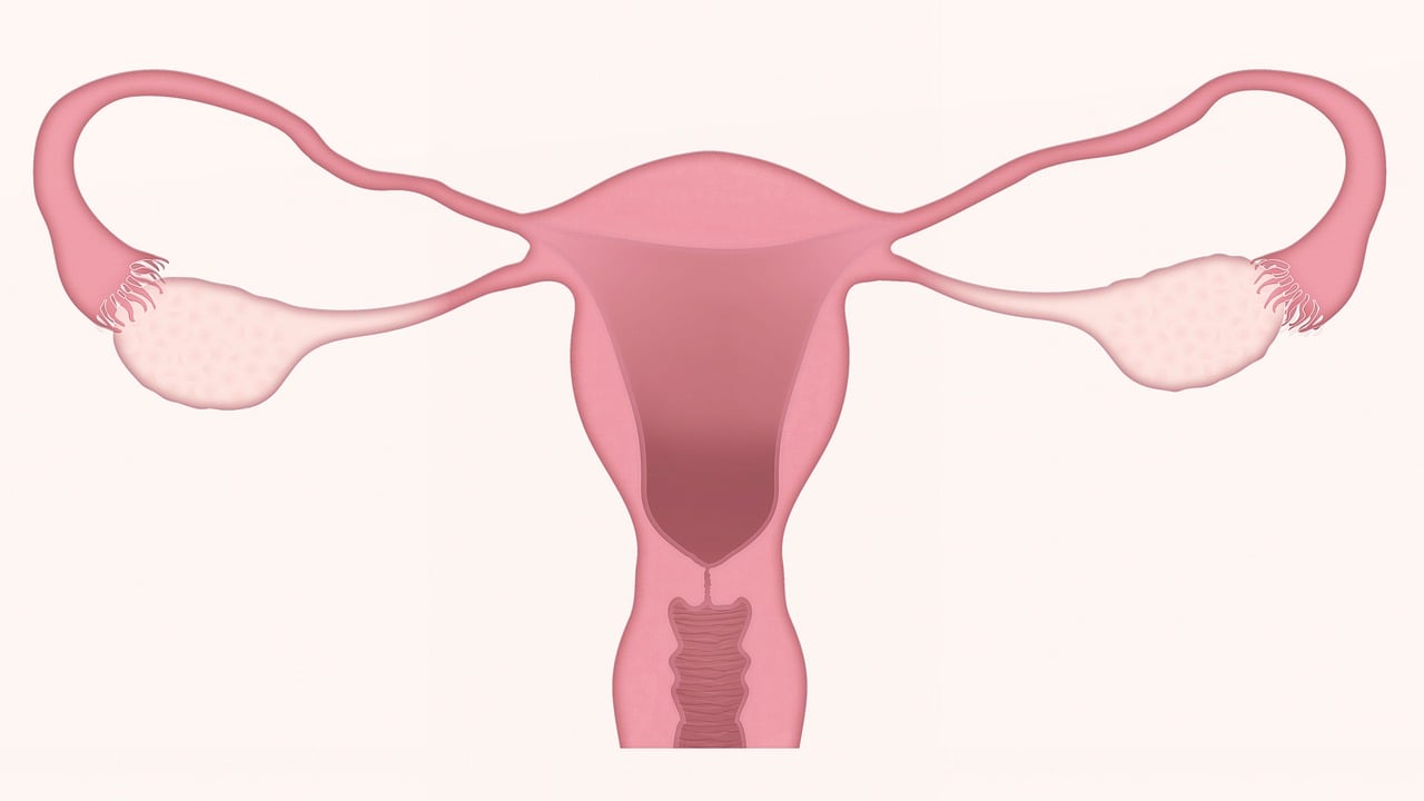 «MenstruAI», una compresa que vigila la salud de su usuaria
