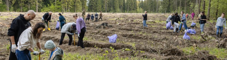 Cineastas rusos siembran 500 árboles para paliar daños ecológicos de filmación