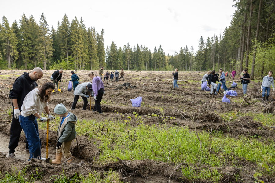 Cineastas rusos siembran 500 árboles para paliar daños ecológicos de filmación