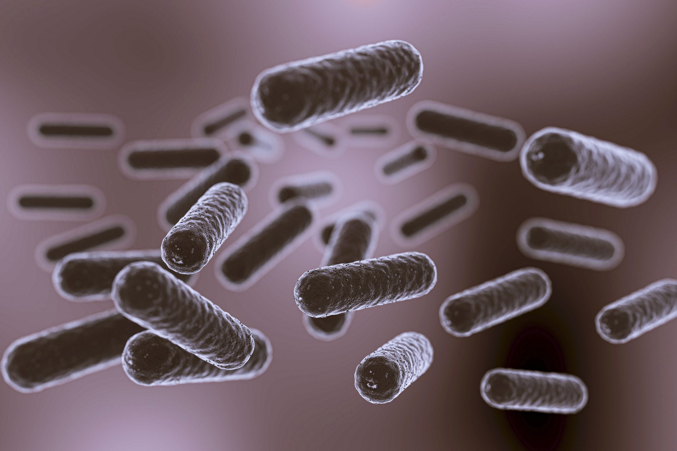 Microbiota intestinal, clave en el cuidado de la salud humana