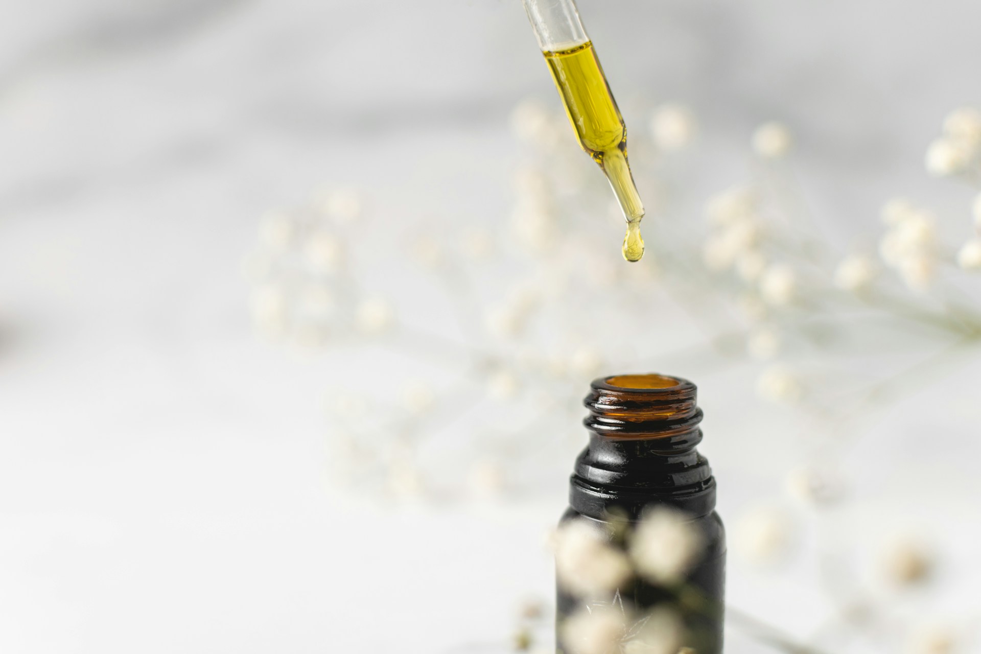 Colombia crea insecticidas con aceites esenciales