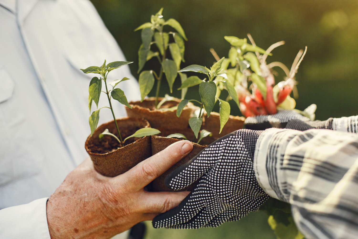 Brasil impulsa la agroindustria con Agro Show