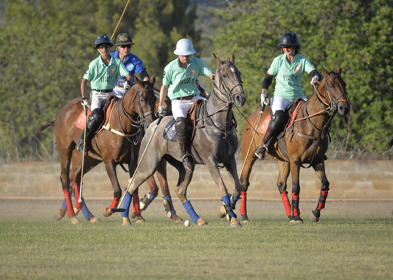 Argentina clona caballos y lidera avances en genética equina