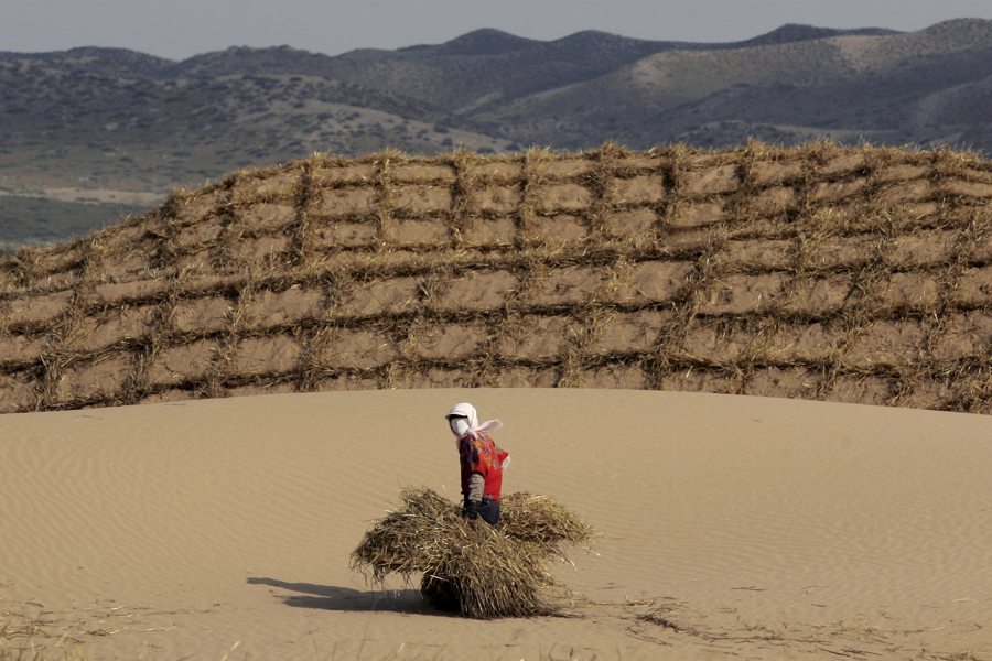 Urgen a atajar la degradación de la tierra