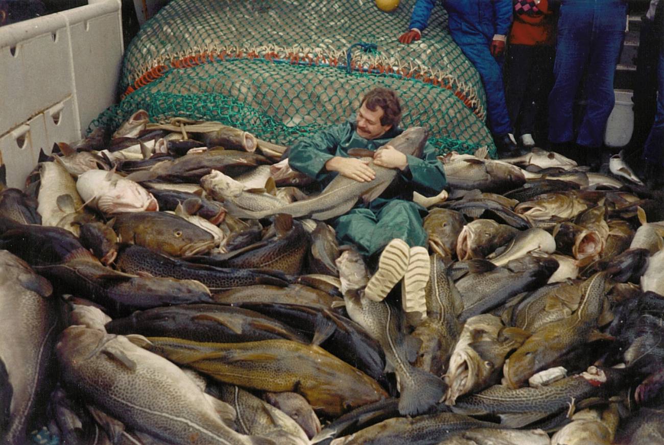 La pesca intensiva ha modificado el ADN del bacalao del Báltico