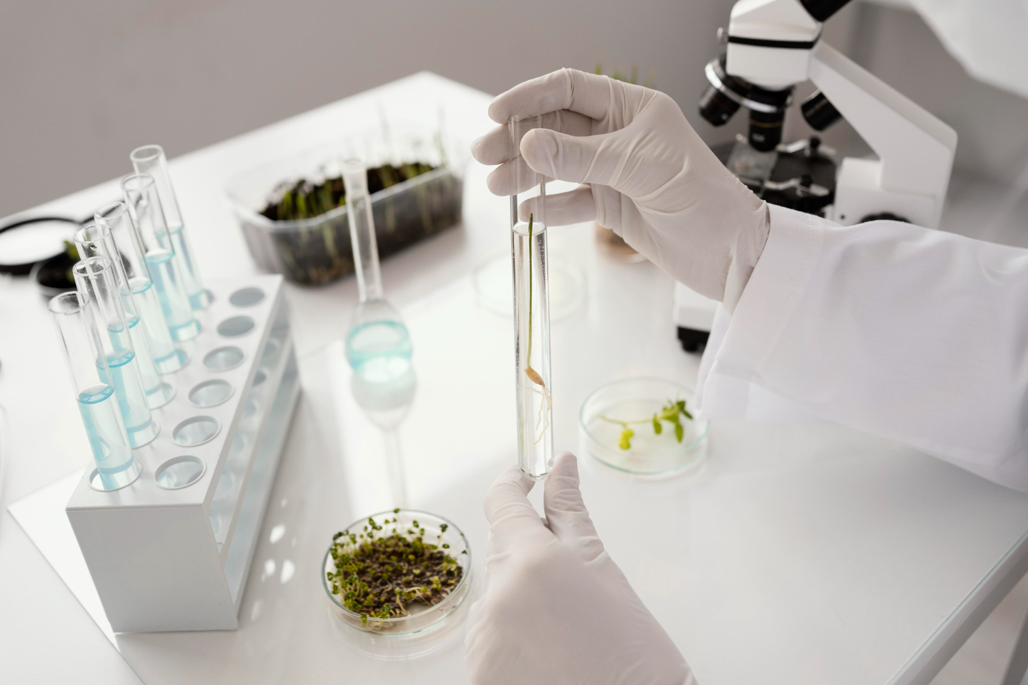 UNAM desarrolla un tratamiento natural contra cáncer de mama