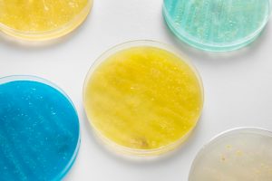 776-1-CIENCIA_Microbiología_Freepik