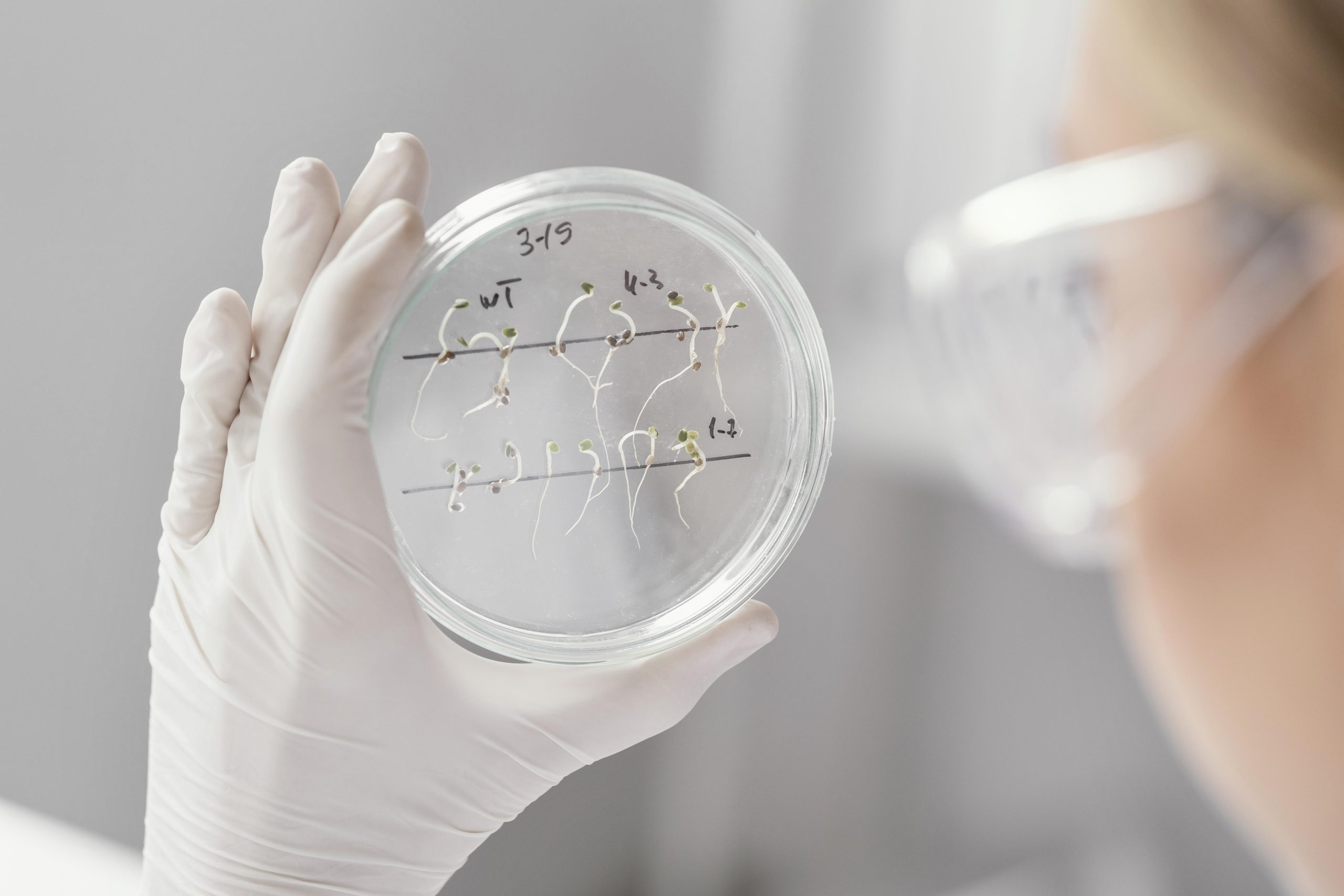 La UCR investiga cómo crear biofertilizante con hongos