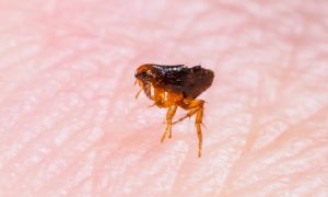 AdobeStock_465782135