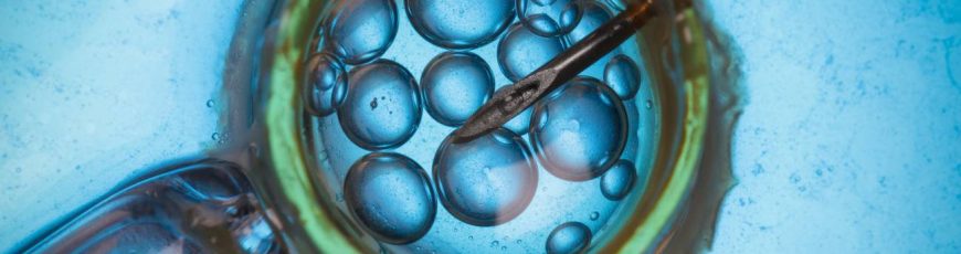 Bebés nacen sin enfermedad hereditaria gracias a donación mitocondrial