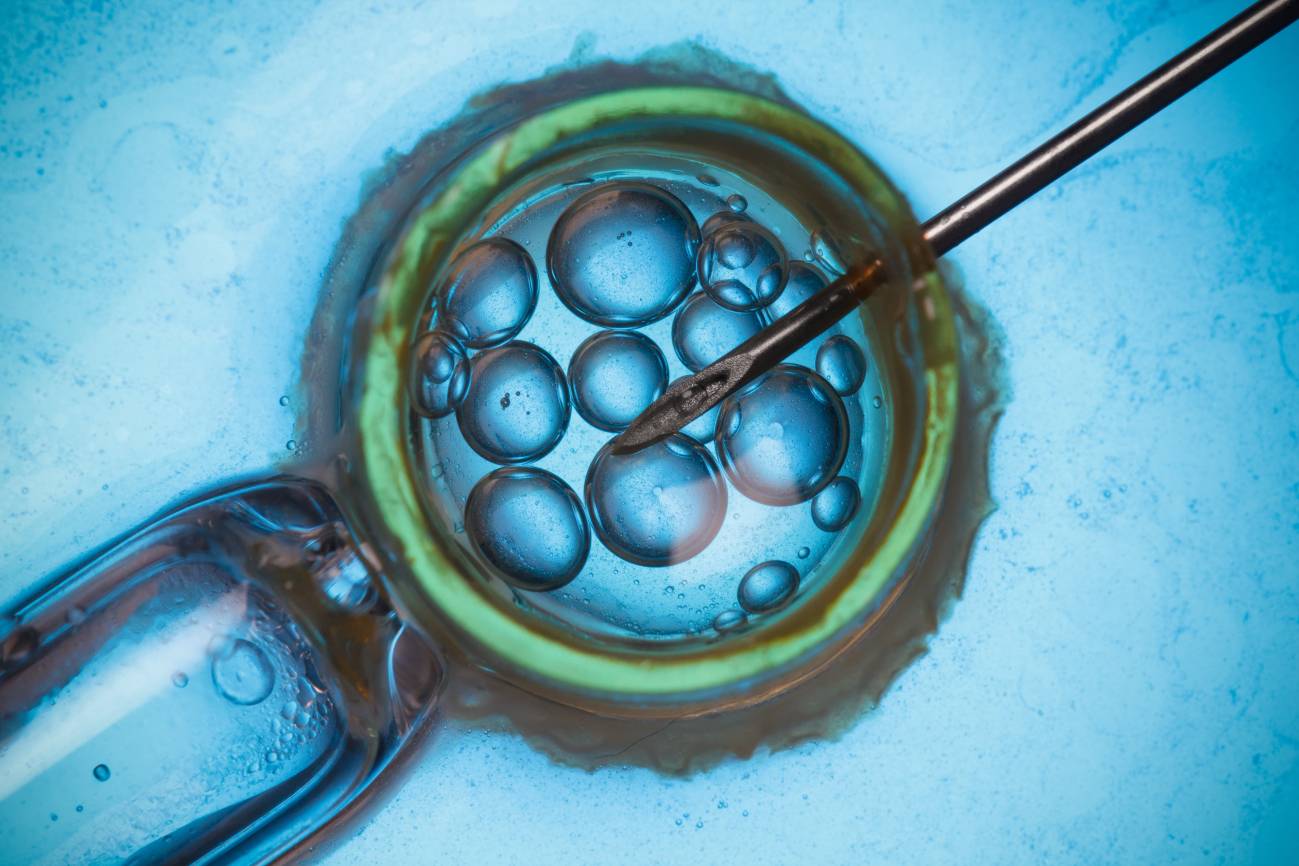 Bebés nacen sin enfermedad hereditaria gracias a donación mitocondrial