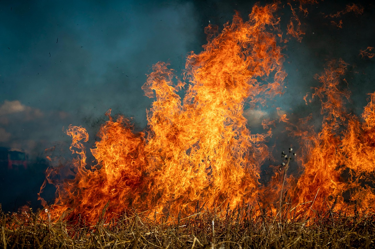 Herramientas tecnológicas ayudarán a prevenir incendios forestales en Paraguay
