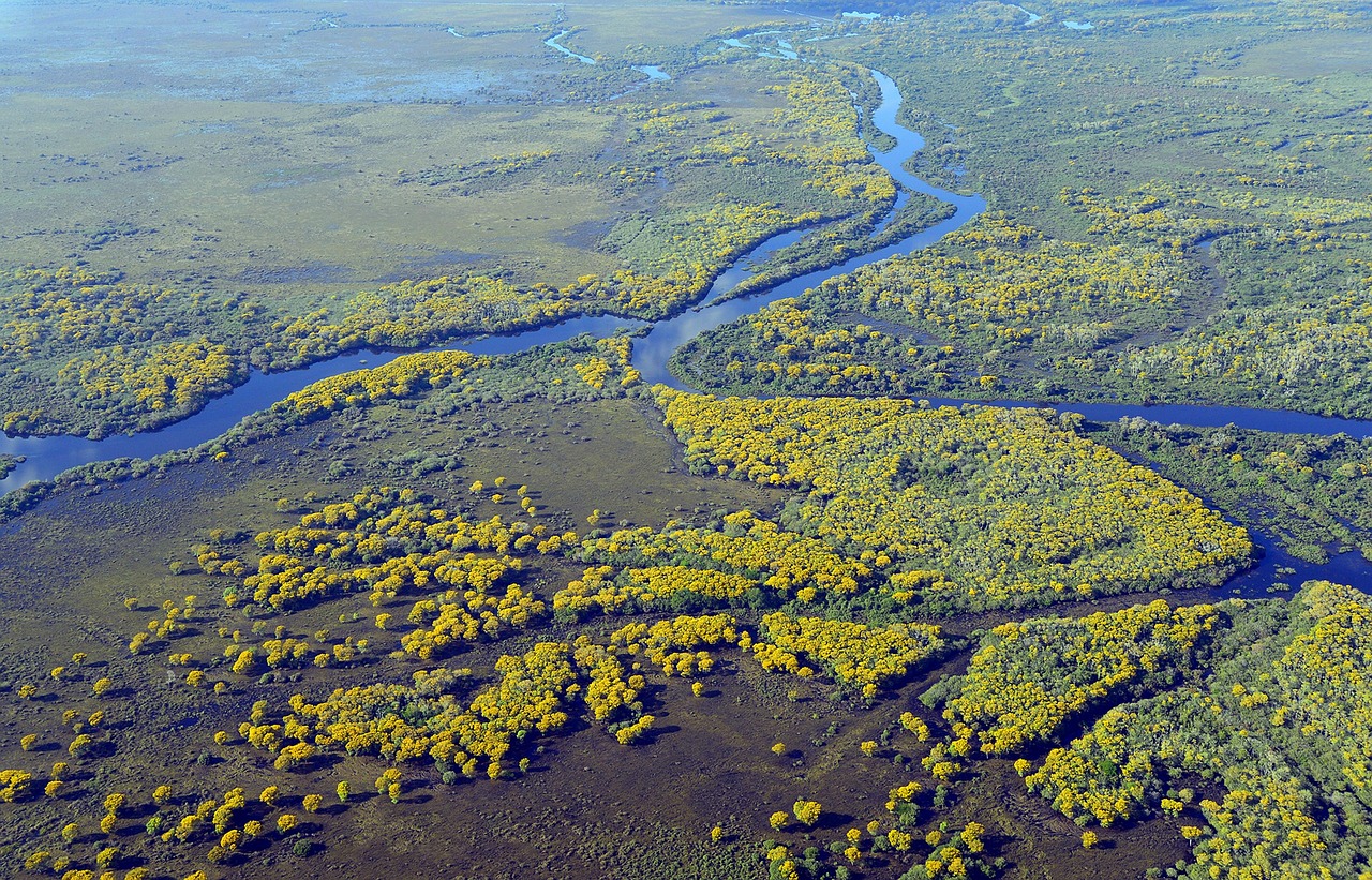 La COP15 destaca el papel de los humedales en la sostenibilidad del planeta