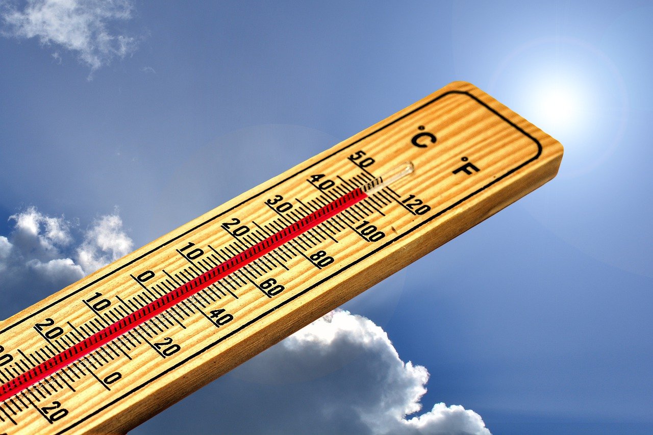El planeta arde: ¿es este calor la nueva normalidad?