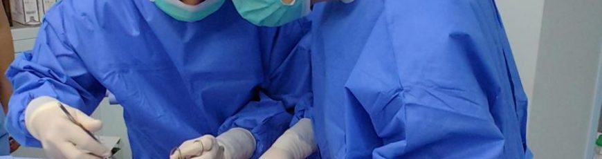 Realizan el primer trasplante de pulmón de cerdo a un humano en muerte cerebral