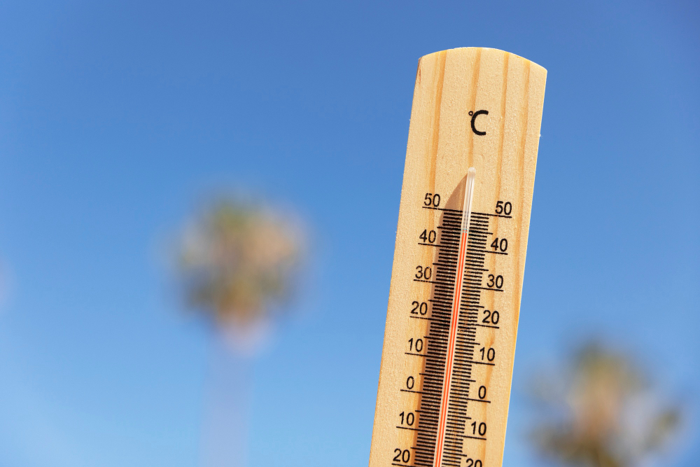 La IA ayuda a prever olas de calor días antes de que se produzcan