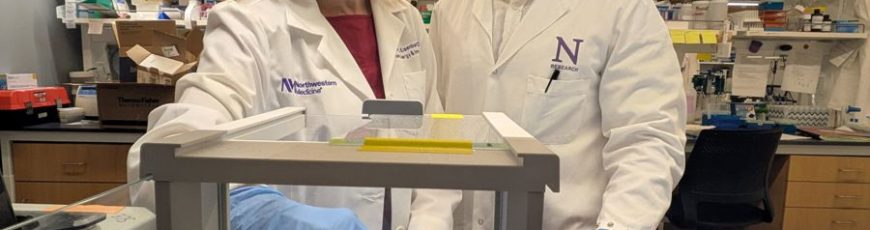 Testan con éxito en ratones nueva vía para la alergia alimentaria: un fármaco del asma
