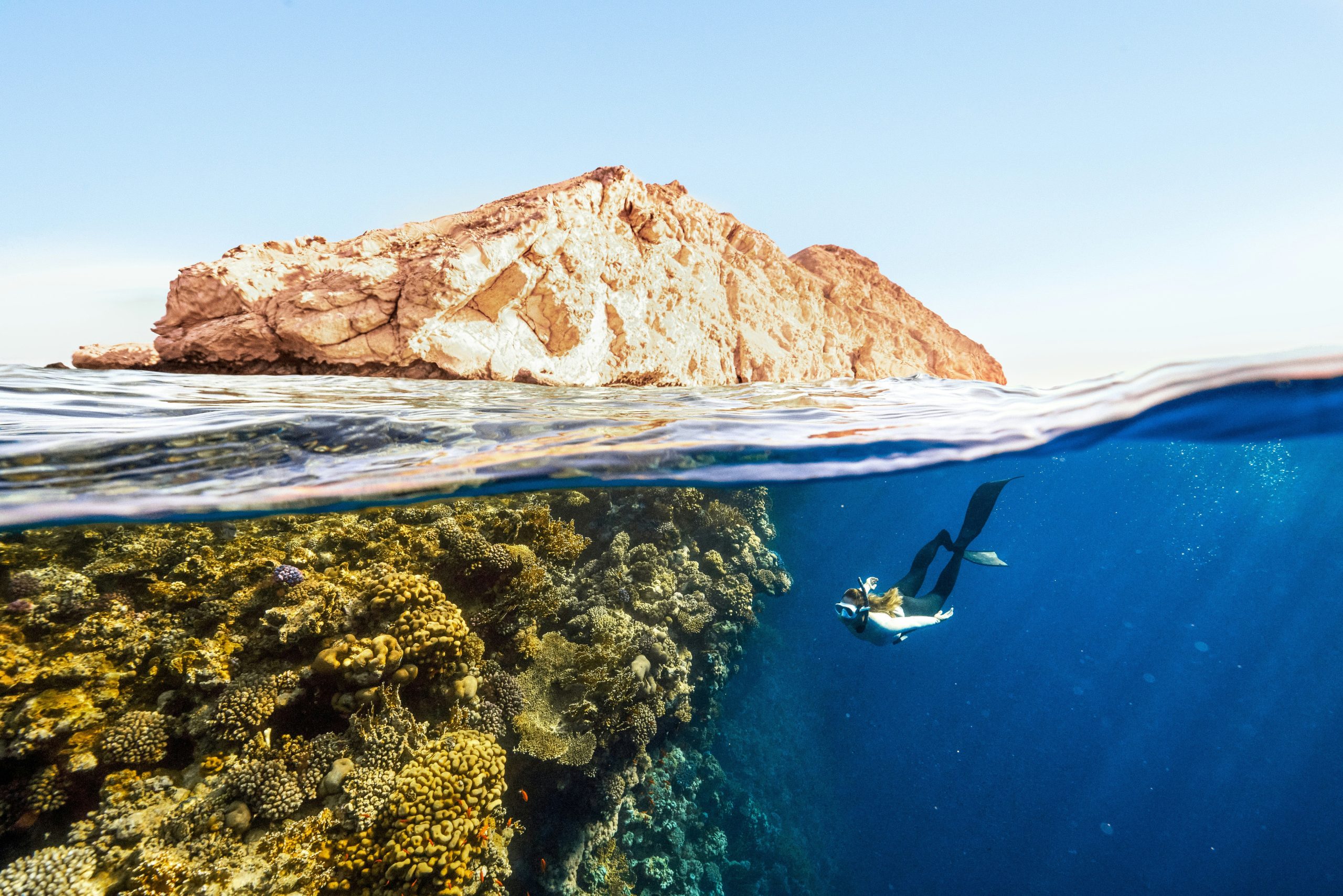 Valparaíso impulsa conciencia y acción para la protección de los océanos