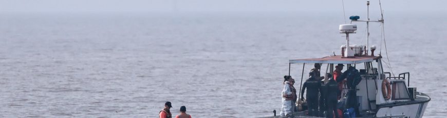 Cetáceos en riesgo: ballena aparece muerta en Río de la Plata