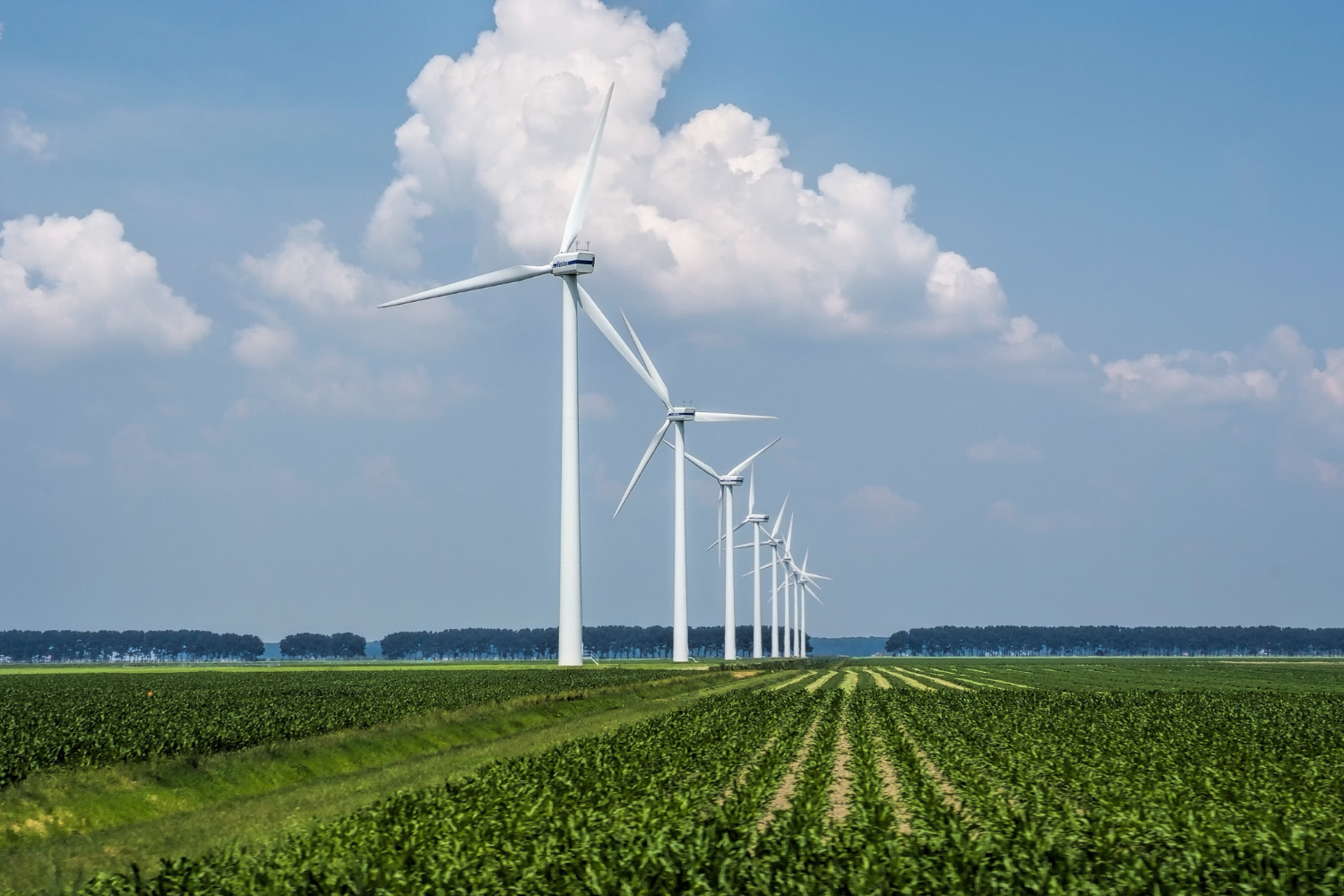 Así avanza la revolución de energía renovable