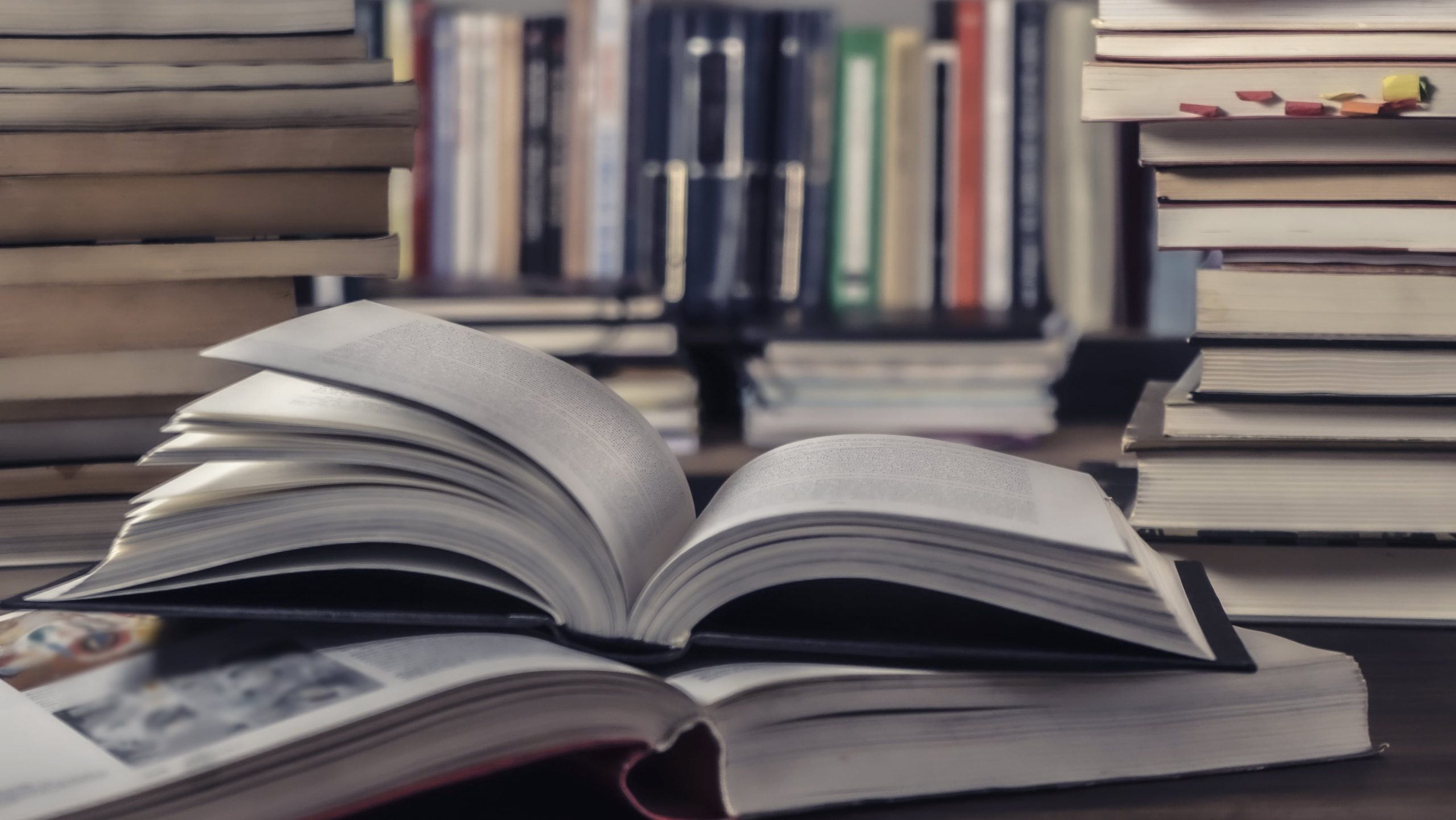 Cementerio de palabras: un libro que revive vocablos olvidados