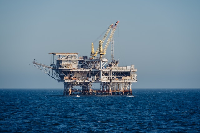 Hongos marinos, la alternativa para limpiar derrames de petróleo
