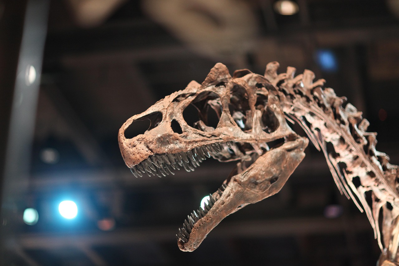 El aporte de aficionados a la paleontología
