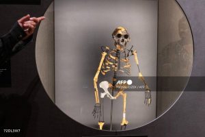 CZECH-ETHIOPIA-SCIENCE-HISTORY-LUCY