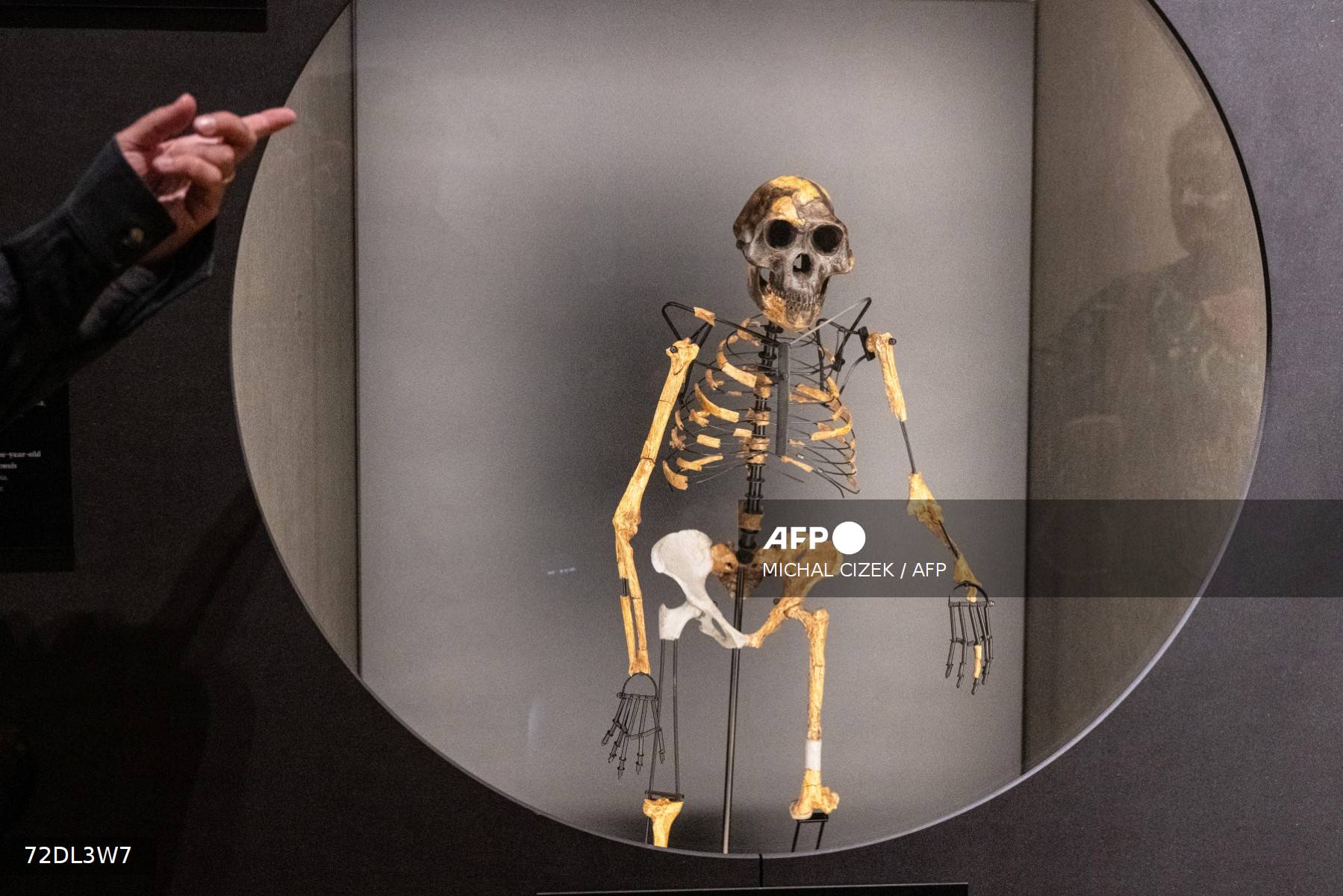 Lucy, célebre antepasado humano, se exhibe por primera vez en Europa
