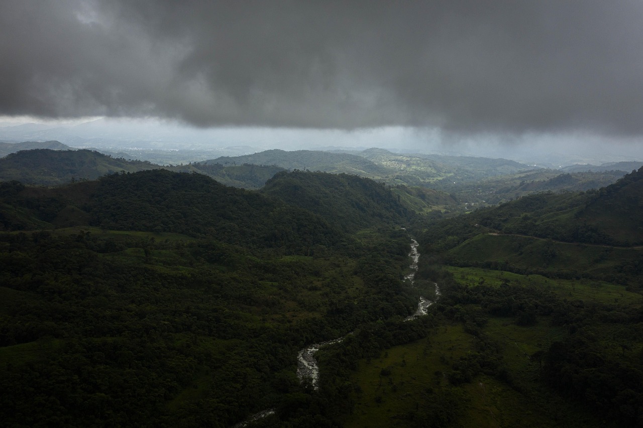 Colombia advierte que la Amazonía está «en riesgo de alcanzar un punto de no retorno»