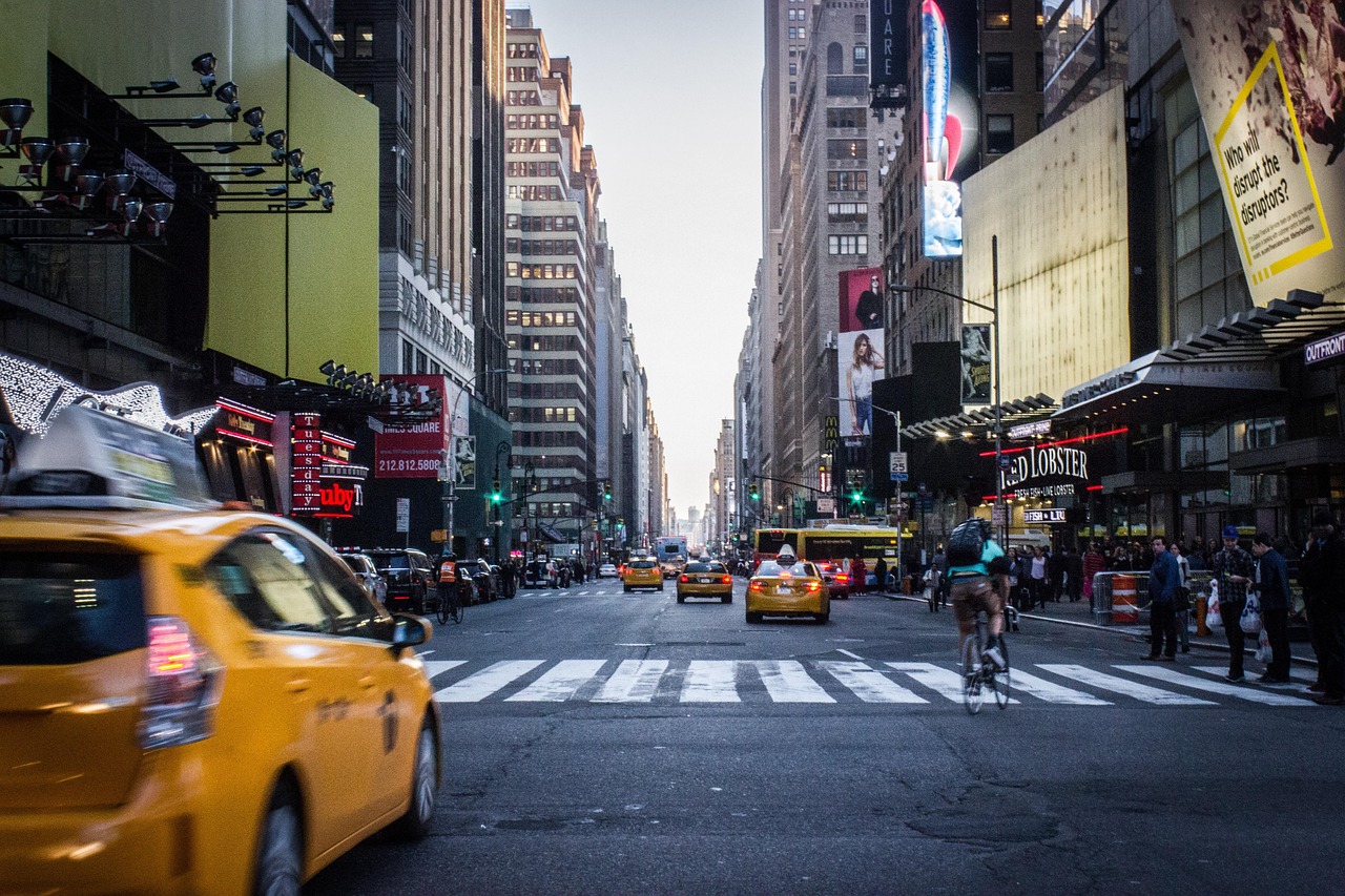 El estrés, eficiente anticonceptivo para reducir población de ratas en Nueva York