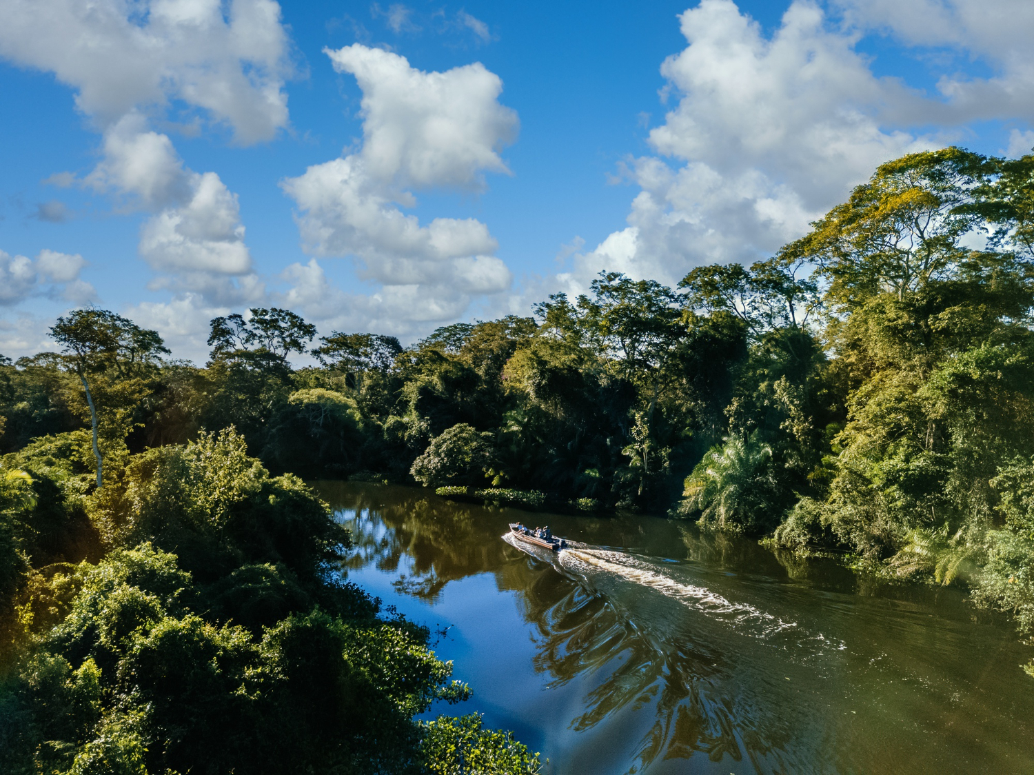 La deforestación, responsable de que las lluvias se hayan reducido un 75 % en la Amazonía