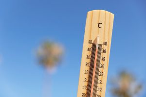 265-7-CIENCIA_Calor trabajadores_Freepik
