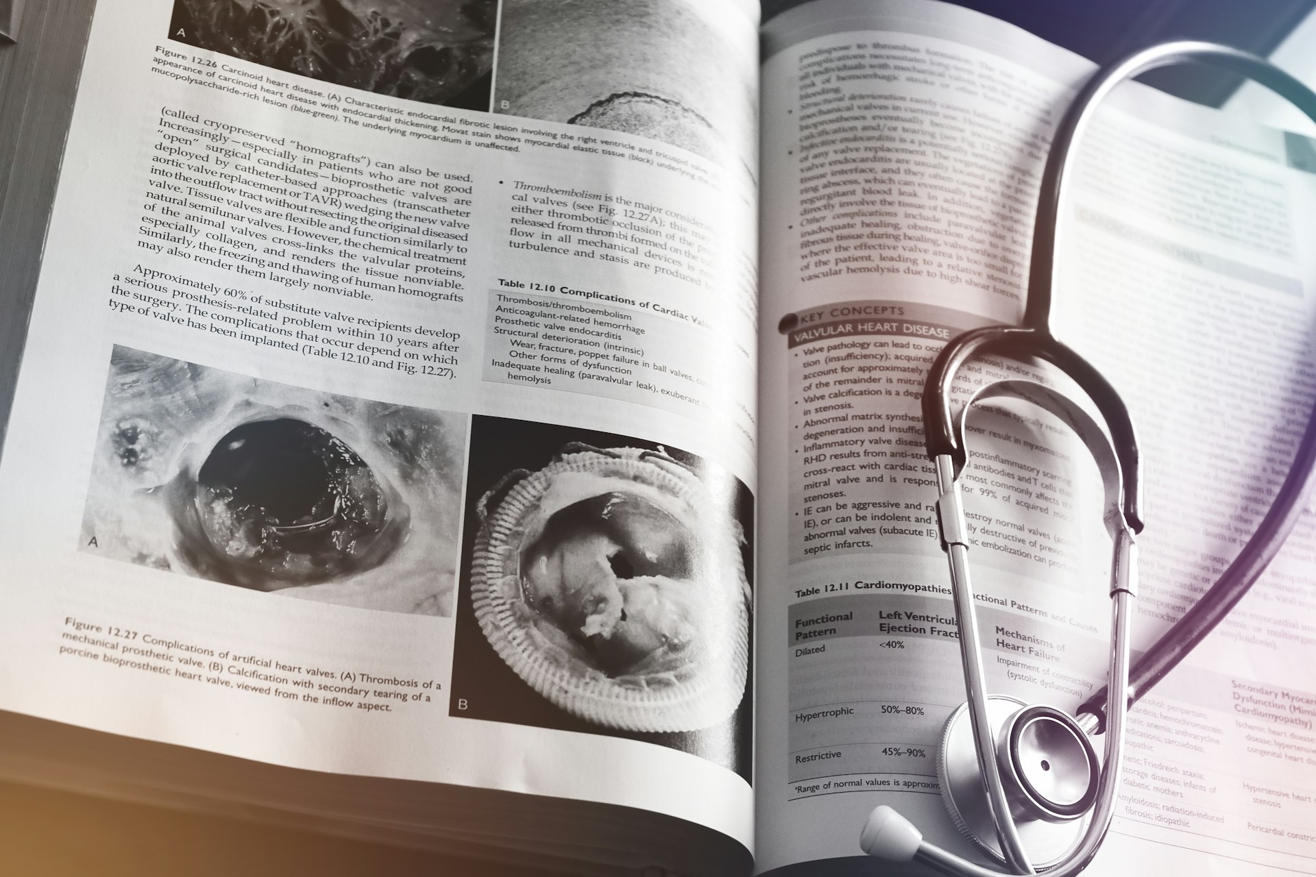 Manual de Salud Pública: guía educativa para profesionales