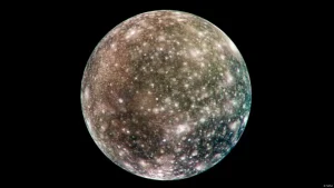 73868019_605