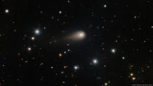 73891785_605